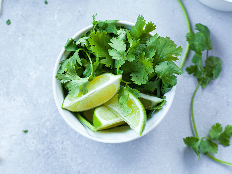 Coriander and Wasabi Rocket Chutney